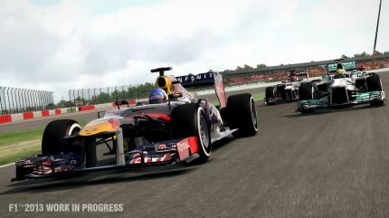 F1 2013 (14)