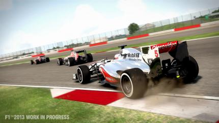 F1 2013 (11)