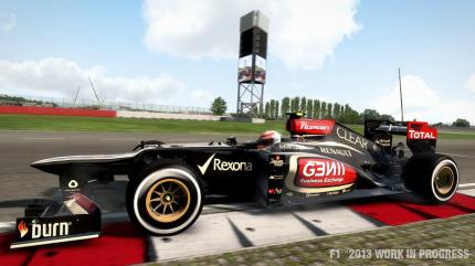 F1 2013 (8)