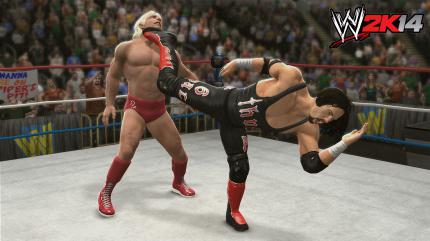 WWE 2K14 im Test (4)
