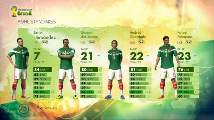 FIFA Fussball-Weltmeisterschaft Brasilien 2014 (12)