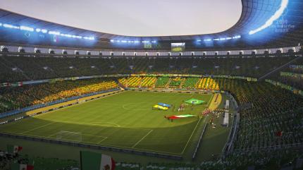 FIFA Fussball-Weltmeisterschaft Brasilien 2014 (10)