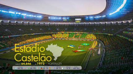FIFA Fussball-Weltmeisterschaft Brasilien 2014 (8)