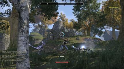 TESO - The Elder Scrolls Online (19)