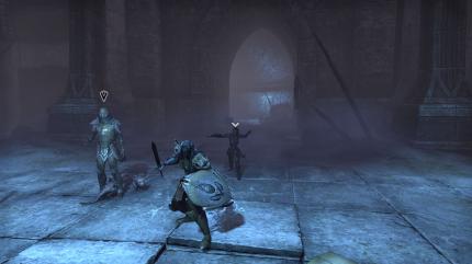 TESO - The Elder Scrolls Online (2)