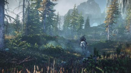 The Witcher 3: Wild Hunt (6)