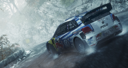 Dirt Rally im Gamezone-Test (15)