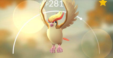 Kurz zusammengefasst: WP symbolisieren die Stärke eures Pokémon.