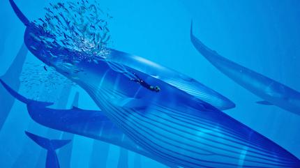 Mit Abzu erhaltet ihr ein Spiel, dass eure Seele streichelt. Auch wenn eure Reise ab und zu emotional wird, ist der Tauchausflug herrlich entspannend.