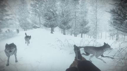 Die Kampfsequenzen wirken aufgesetzt und lassen sich nicht gut steuern, etwa beim Duell mit einem Wolf.