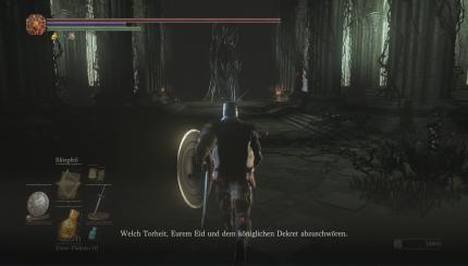 Judikator Argo in The Ringed City.