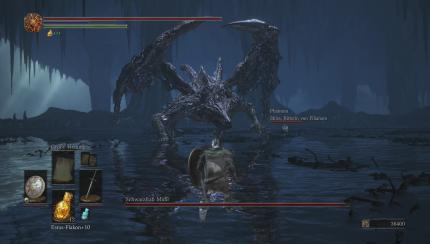 Phantom Shira zu Hilfe bei Midir.