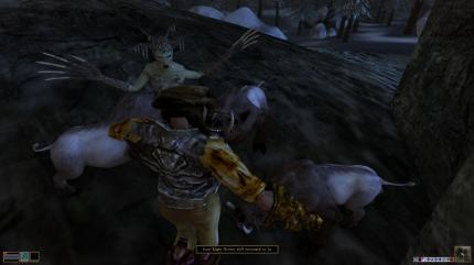 Der Besuch auf der Ascheinsel Solstheim ist - wie auch in Skyrim - mit Gefahren für Leib und Leben verbunden. Schnell rotten sich die eigentlich strunzdoofen Gegner zusammen und beharken euch im Rudel.