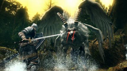 DLC von From Software ist so gut wie immer hervorragend gestaltet und bringt viel zusätzliche Unterhaltung.