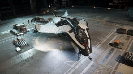 Ein Raumgleiter im MMO Star Citizen