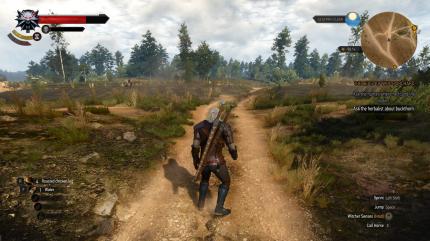 The Witcher 3: im Schnitt 90 FPS in WQHD auf maximalen Details.