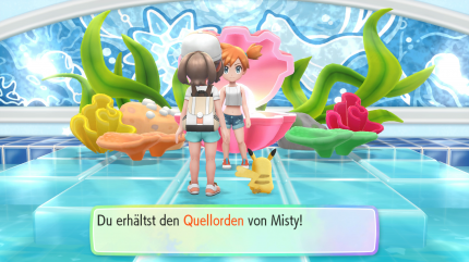 Wir erhalten nach einem siegreichen Kampf den Quellorden und die TM29 Siedewasser.