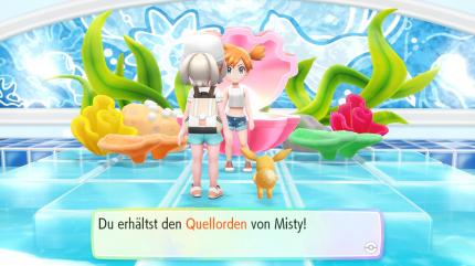Acht Arenaleiter warten in Kanto auf euch. Die Arenen dürft ihr nur betreten, wenn ihr die entsprechenden Anforderungen erfüllt.