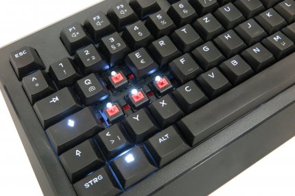 Unter den Tasten befinden sich die Switches - hier die Sorte Cherry MX-Red mit Beleuchtung