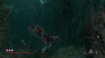 Schwimmt schnell in Deckung, damit euch der riesige Fisch nicht sieht.