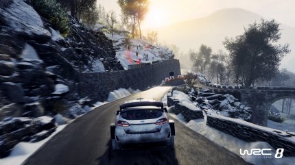WRC 8 in der Vorschau (5).
