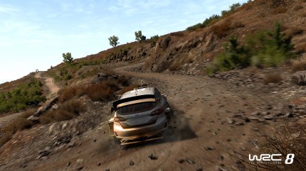 WRC 8 in der Vorschau (3).