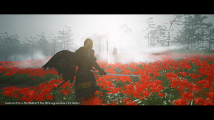 Ghost of Tsushima in der Vorschau: Atmosphärisch, atemberaubend, altbekannt (1)