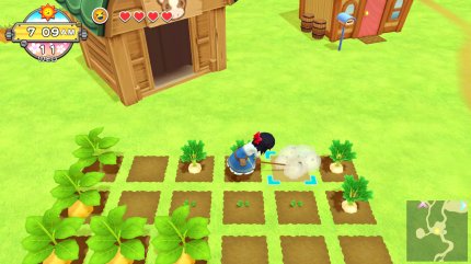 Man kennt und liebt es – wenn man auf Harvest Moon steht. Eure Farm wartet darauf, von euch bestellt zu werden. Beackert den Boden und erntet Gemüse!