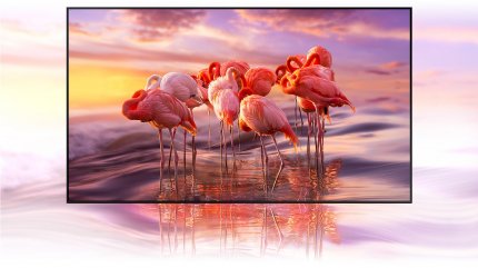 Die Quantum Dot Technologie des Samsung QLED TV sorgt für lebendige Farben mit bis zu 100% Farbvolumen bei unterschiedlichsten Lichtverhältnissen.