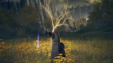 Goldene Saat in Elden Ring an einem Spross