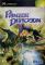 Panzer Dragoon Orta
