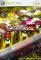 Pinball FX 2 