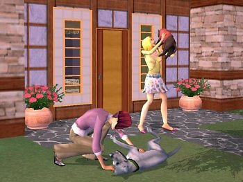 Die Sims 2: Haustiere im Gamezone-Test