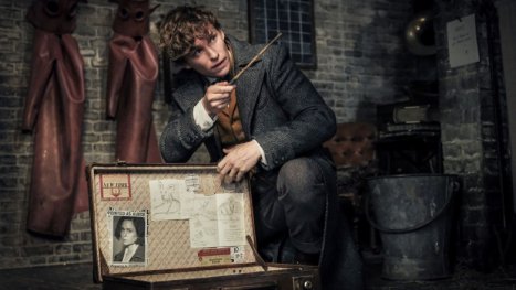 Harry Potter: Wie soll es mit dem Wizarding-World-Franchise weitergehen?