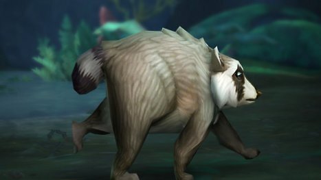 World of Warcraft bringt den wohl niedlichsten Internet-Star nach Azeroth