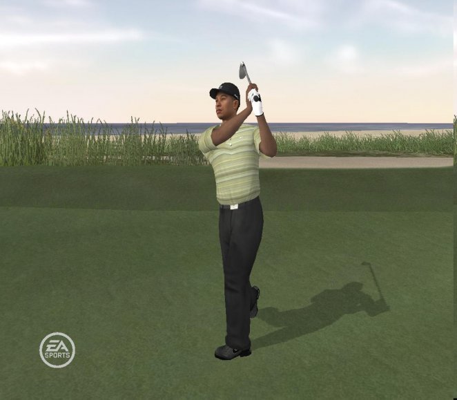 Tiger Woods PGA Tour 08