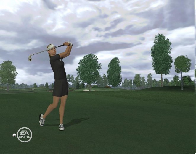 Tiger Woods PGA Tour 08
