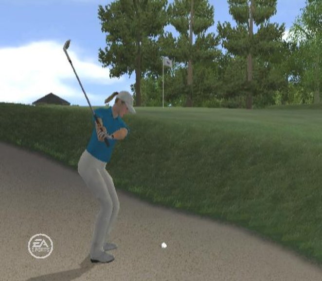Tiger Woods PGA Tour 08