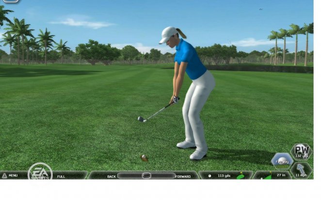 Tiger Woods PGA Tour 08