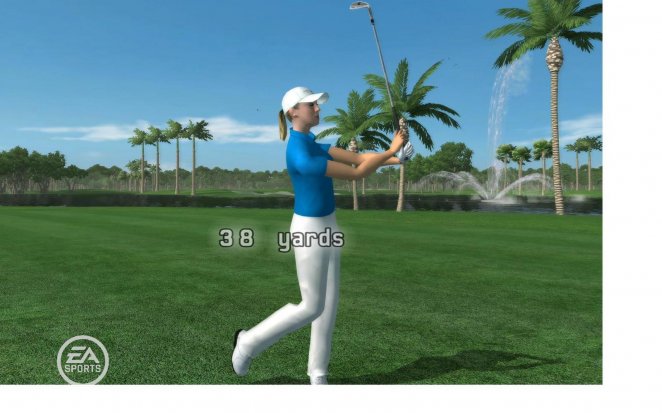 Tiger Woods PGA Tour 08
