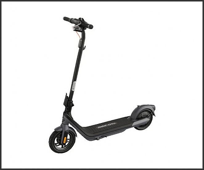 NINEBOT E2 PRO D E-Scooter (10 Zoll, Schwarz)