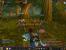 World of Warcraft