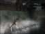 Prince of Persia: Warrior Within