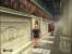 Shadow of Rome