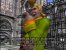 King of Fighters Maximum Impact