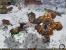 Dungeon Siege 2