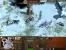 Age of Empires 3