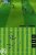 FIFA 06