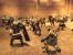 Spartan: Total Warrior