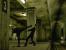 The Matrix: Path of Neo